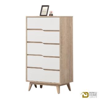 【WAKUHOME 瓦酷傢俱】Kenster原像雙色2尺五斗櫃A010-775