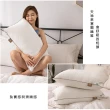 【Jindachi金大器】買一送一 MIT台灣製造 TENCEL 頂級天絲舒柔枕  枕頭(舒眠親膚 抗菌防螨 吸濕透氣)