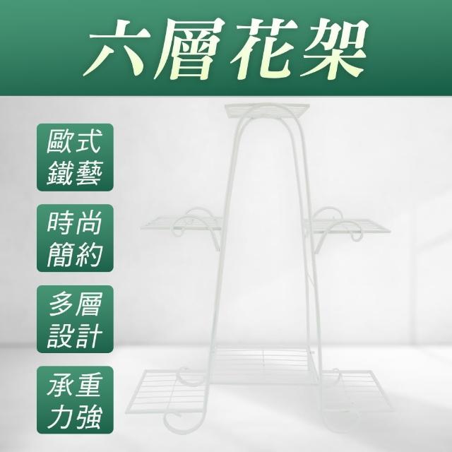 【HOME+】六層花架 花架落地 花架花盆花器 陽台置物架 ins佈置 鐵花架 B-FR6(多層花架 展示架)