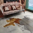 【Fuwaly】柏思地毯-160x230cm(現代藝術 大地毯 客廳 起居室)