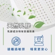 【GNITE】100%純天然乳膠床墊 厚度5cm 標準雙人5尺(雙人床墊/附質感表布/收納袋/可折疊)