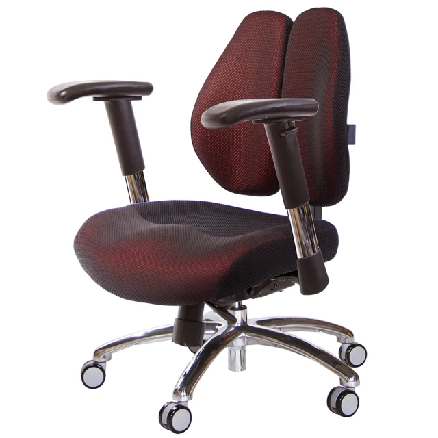 GXG 吉加吉 記憶棉 DUO KING 鋁腳/2D滑面金屬扶手 工學椅(TW-3007 LU6)