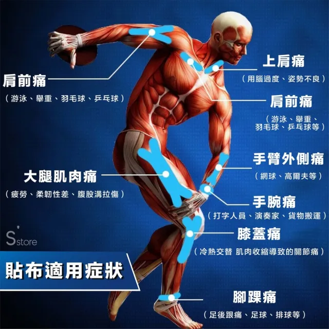 【S-SportPlus+】肌肉貼布 3.8cmx5m無盒裝6入組 肌貼繃帶(運動貼布/貼布/彈性貼布)
