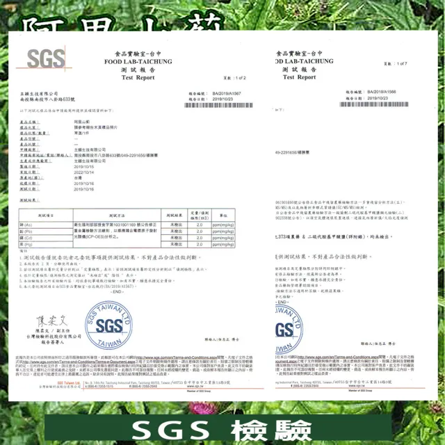 【台灣國寶】阿里山薊茶包X4盒/雞角刺茶包/20包/盒(台灣原生種植物阿里山薊茶包)