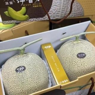 【RealShop】日本頂級品種 阿露斯哈密瓜3.2kg±10%x1盒(兩顆裝禮盒 真食材本舖)(中秋禮盒)