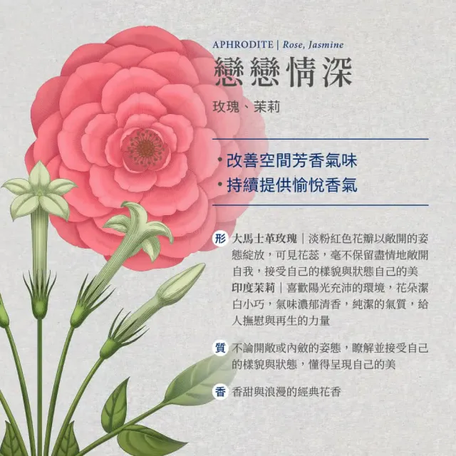 【伊聖詩】約翰森林JOHNRAY 室內擴香香竹250ml(多款任選/蔚藍海岸)