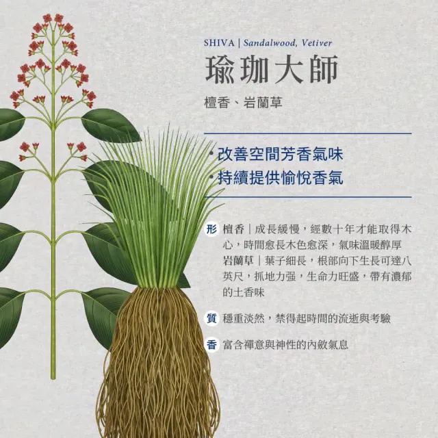 【伊聖詩】約翰森林JOHNRAY 室內擴香香竹250ml(多款任選/蔚藍海岸)
