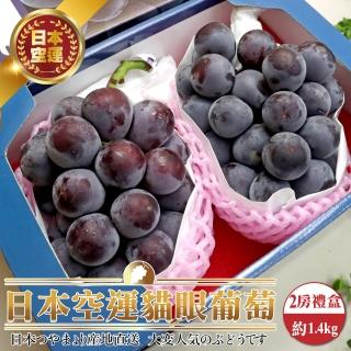 【WANG 蔬果】日本空運貓眼葡萄2房禮盒x1盒(約1.4kg/盒 中秋禮盒)