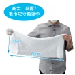 【日本TOYO】可擦身體 超厚毛巾尺寸柔濕巾 大濕紙巾(日本製-20小包入/一袋)