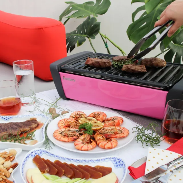 【Enders 恩德斯】桌面式木炭烤肉爐 極光/粉紅 搪瓷烤盤(德國烤肉爐 烤肉架)