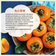 【初品果】達觀部落9A甜柿禮盒6顆x1盒(每顆350g+-10%_年節禮盒_產地直送)