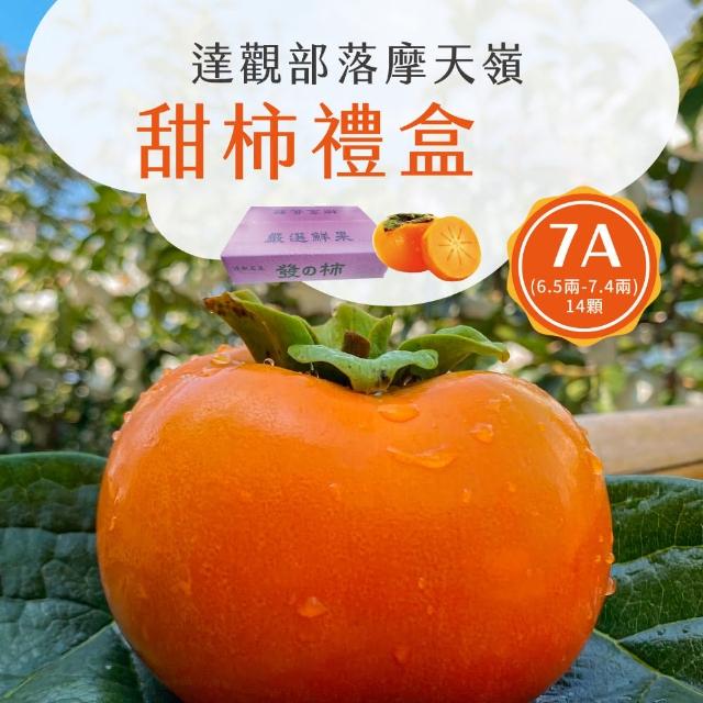 【初品果】達觀部落7A甜柿大禮盒14顆x1箱(中果7A_每顆260g+-10%_年節禮盒_產地直送)