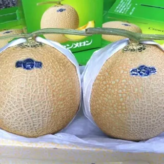 【RealShop】日本靜岡縣青肉哈密瓜4kg±10%x1盒(共兩顆裝禮盒 真食材本舖)