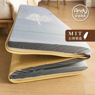 【Andy Bedding 安迪寢具】大青竹蓆床墊-3尺(透氣床 折疊床墊 薄床墊 涼感床墊)