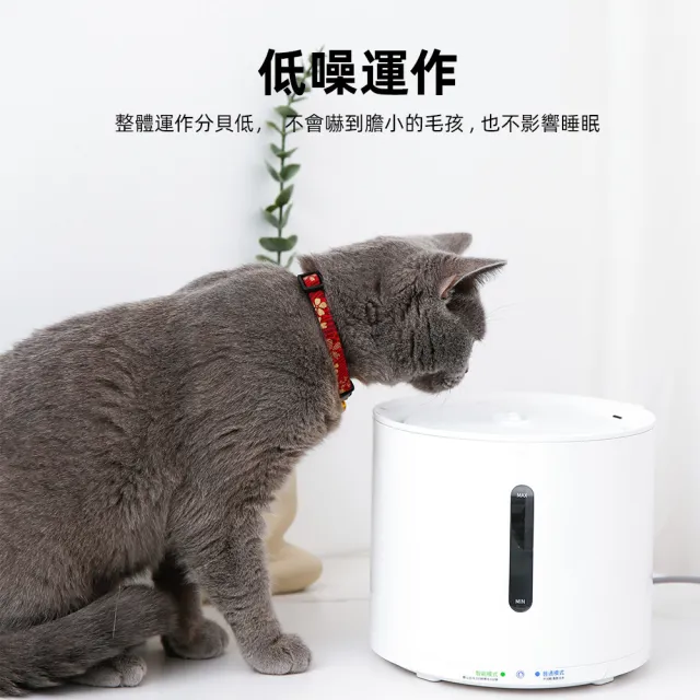 寵物飲水機 SOLO 2(平行輸入 APP連線 藍芽 貓咪飲水機 寵物喝水機)