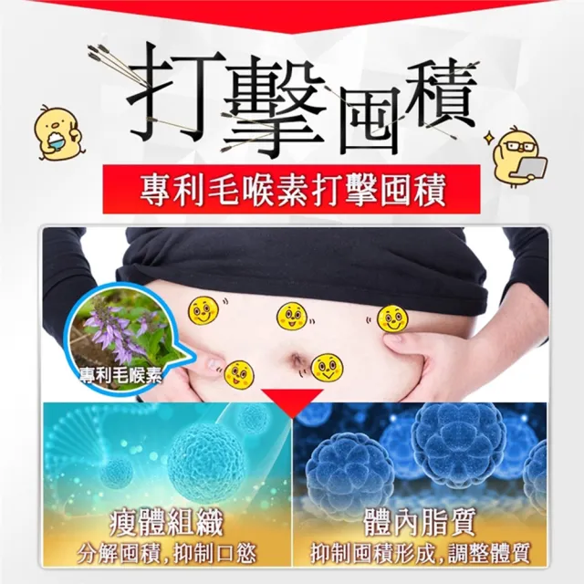 【明山玫伊.com】清野專科 毛喉油切崩解膠囊 8盒(20顆/盒 藤黃果 牛磺素.仙人掌.芭樂葉.維他命C)