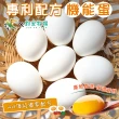 【禾鴻x鈞安牧場】專利配方鎂力機能蛋(白蛋8顆x3盒x2箱 共48顆)