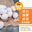 【HAPPY HOUSE】白殼紅仁鮮雞蛋30入箱裝(無添加抗生素)