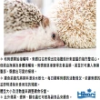 【HIKARI 高夠力】刺蝟飼料 1100g 守護健康專用添加善玉菌配方1.1kg(老鼠/蜜袋鼯/食蟲目/鼠類適用72804)