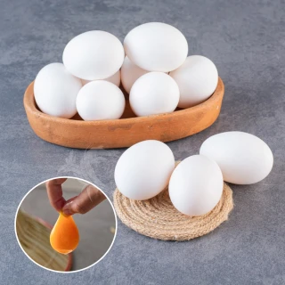【禾鴻x鈞安牧場】專利配方鎂力機能蛋(白蛋8顆x3盒x1箱 共24顆)