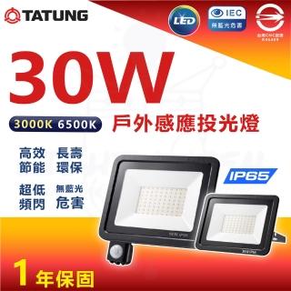 【TATUNG 大同】3入組 LED 紅外線 感應戶外投光燈 戶外投光燈 投射燈 30W(防水IP65)