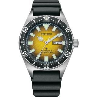 【CITIZEN 星辰 官方授權】PROMASTER 200米潛水機械錶-41mm/河豚 禮物(NY0120-01X)