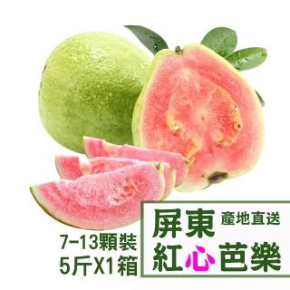 屏東紅心芭樂5台斤X1箱(7-13顆/箱)