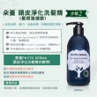 【朵蔓】頭皮淨化洗髮精400ml(控油/強健/淨屑)