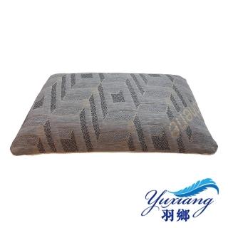 【羽鄉】臺灣研發製造CO-02石墨烯+天絲兩用冬暖夏涼 超高分子舒眠乳膠舒壓獨立筒枕(乳膠獨立筒枕)