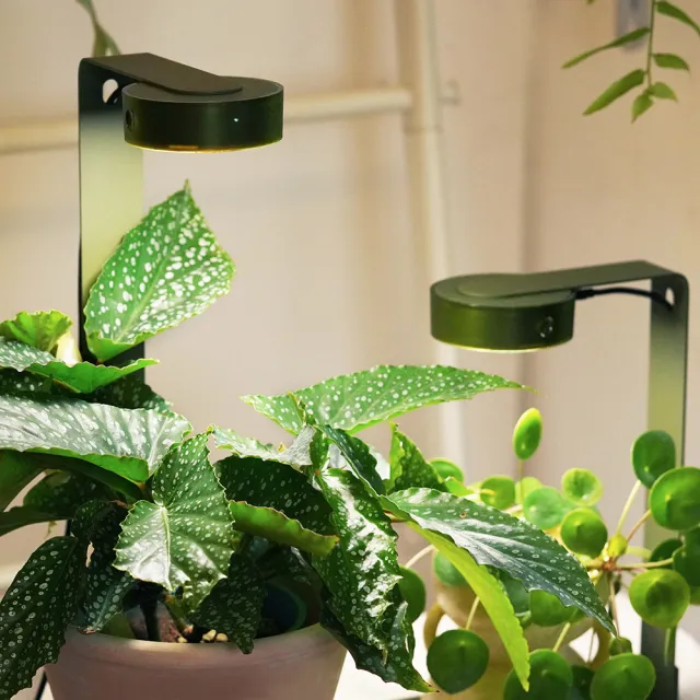 【ONF 光之間】MIST O 植霧光-桌上型隨吸植物燈套組(雙燈雙架、綠)