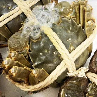【RealShop】正宗活體江蘇公蟹紅膏大閘蟹 A級 10隻入(每隻約5-5.6兩 不含繩重 死蟹包換 真食材本舖)