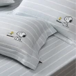 【Austin Home 奧斯汀寢飾】SNOOPY雙人床包三件組/天絲棉/睡個好覺系列(雙人 5x6.2)
