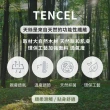 【GNITE】台灣製造 頂級天絲TENCEL枕頭套-2入組(美式信封枕套/天絲枕頭套/多款任選)