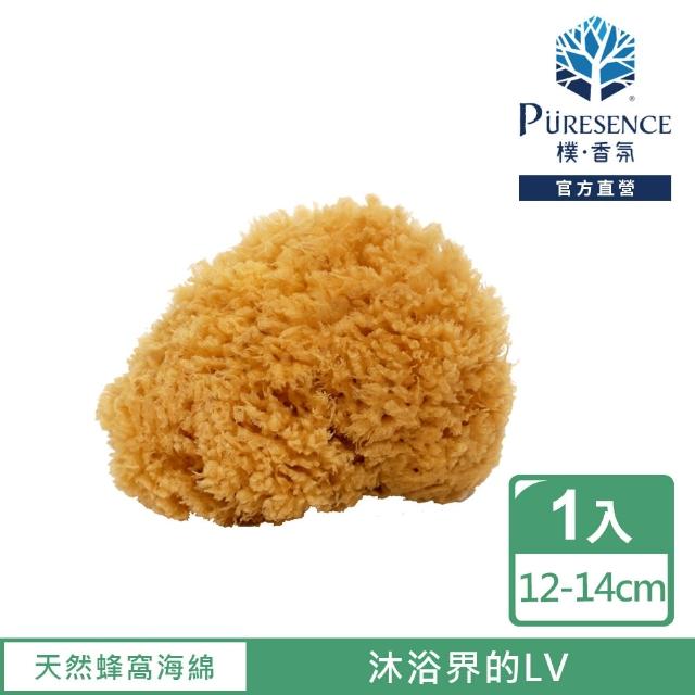 【PURESENCE 樸香氛】法國馬賽皂之家天然蜂窩海綿(12-14cm)