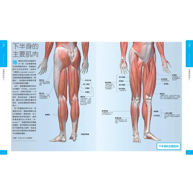 【momo組合套書-Galileo科學大圖鑑】人體＋肌肉大圖鑑