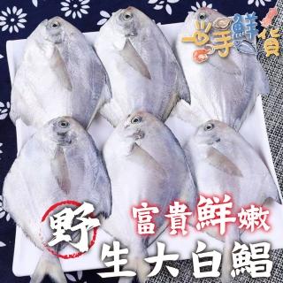 【一手鮮貨】野生白鯧(1尾組/單尾400g-500g)