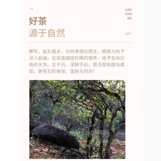 【盛嘉源】歲月知味 娜罕 2016年(普洱茶   生茶 357g)
