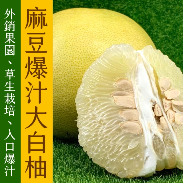 農頭家 台南麻豆老欉大白柚5斤x1盒(2-4顆/外銷果園/肉厚爆汁)