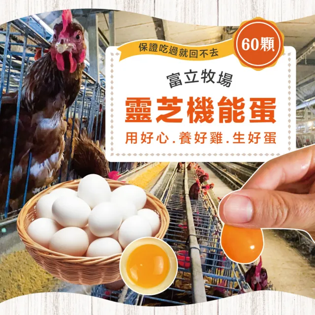 【初品果】x富立牧場靈芝機能雞蛋60顆x1箱(白蛋_48小時內新鮮生產_無驗出普芬尼、戴奧辛)