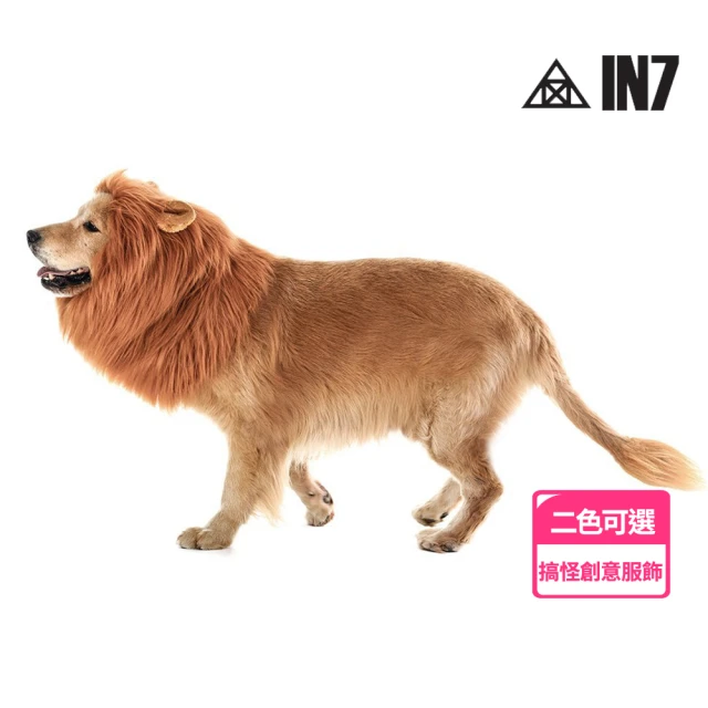 IN7 寵物獅子假髮頭套 搞怪變身寵物創意服飾評價推薦