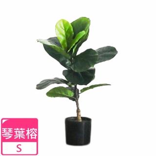 【Meric Garden】北歐風格居家裝飾高模擬大型景觀植栽擺設盆栽(琴葉榕S)
