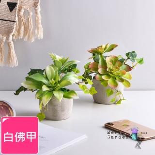 【Meric Garden】高模擬多肉植物療癒手工水泥小盆栽 白佛甲