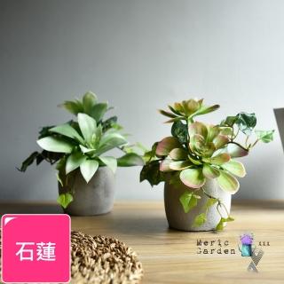 【Meric Garden】高模擬多肉植物療癒手工水泥小盆栽 石蓮