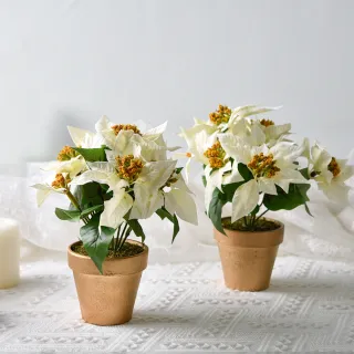 【Meric Garden】高仿真台灣手工限定雪白聖誕紅小盆栽