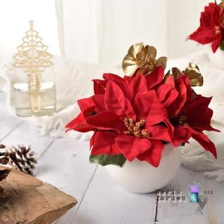 【Meric Garden】高模擬臺灣手工限定聖誕紅小盆栽