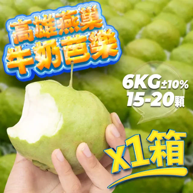 【果樹寶石】高雄燕巢牛奶中顆芭樂10斤x1箱（15-20顆/箱）（約300克以上/顆）(產銷履歷 農場直送)