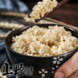 【上野物產】茉莉糙米 蒟蒻飯 x12盒(170g±10%/盒)