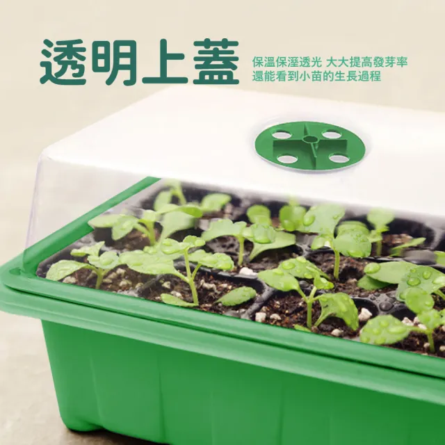 【種菜天】透氣型育苗種植盒-12孔(多功能 貓草 多肉栽培 植物扦插 園藝 盆穴 盤栽 播種 播苗盤 育苗盤)