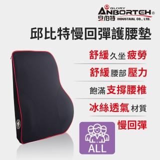 【ANBORTEH 安伯特】邱位元慢回彈護腰墊(車用護腰墊 車用靠墊 車用腰枕 車用靠腰墊 汽車靠墊 車用腰枕)