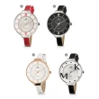 【MORRIS K】專櫃極簡美學男女腕錶(8款任選)